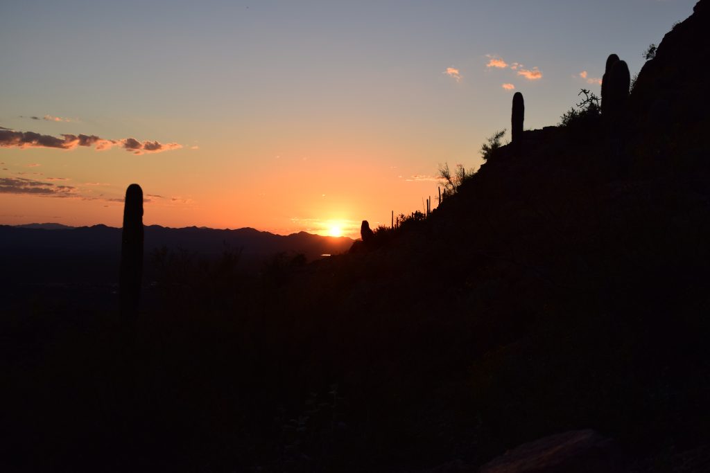 Sunset at Saguaro West