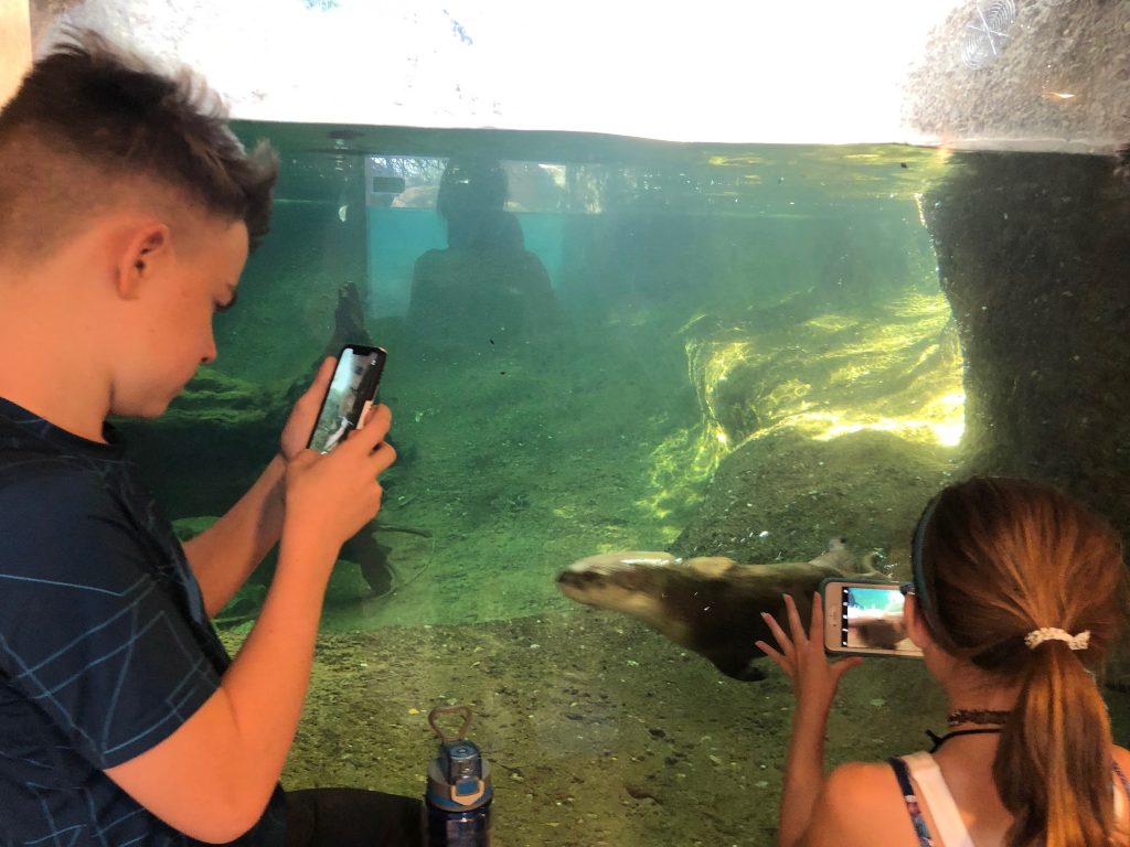 Luke and Kaylin checking out the otters
