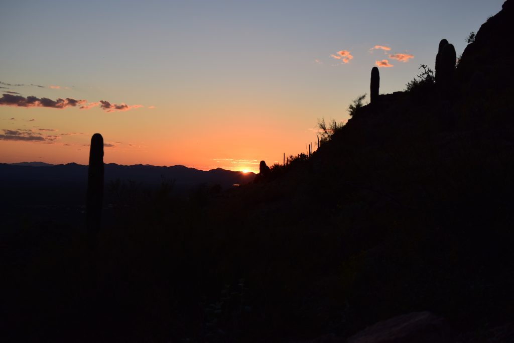 Sunset at the Saguaro National Monument West