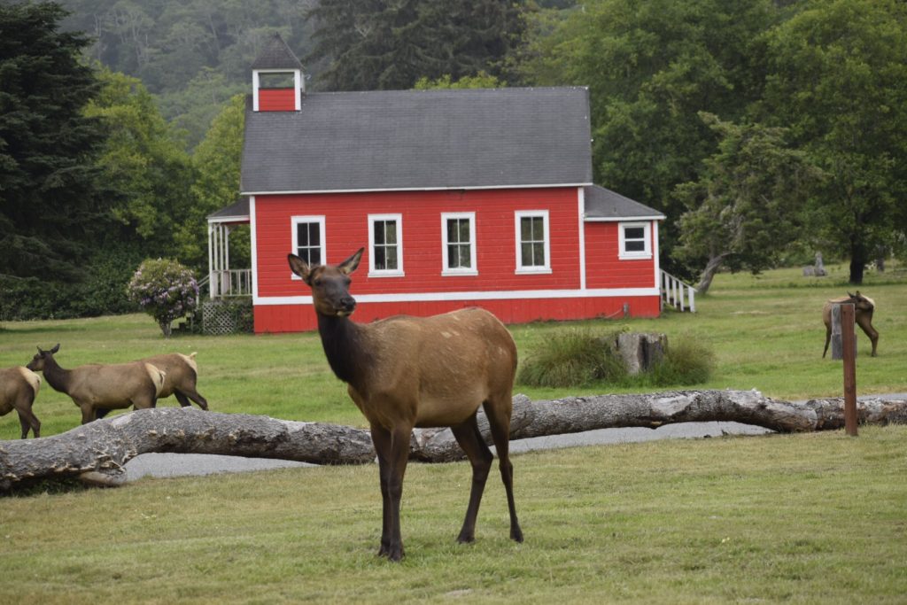 Elk Country Schoolhouse